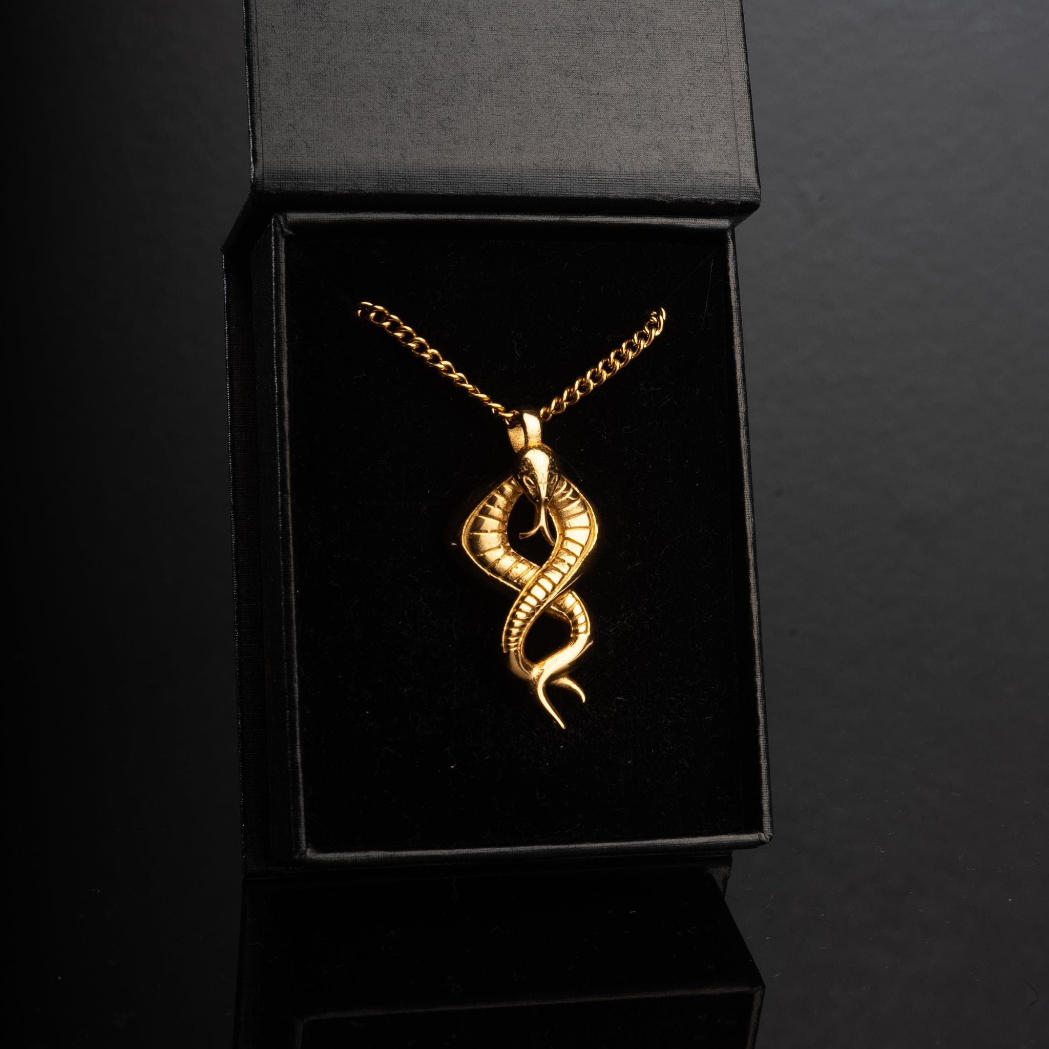 Snake Necklace - Gold